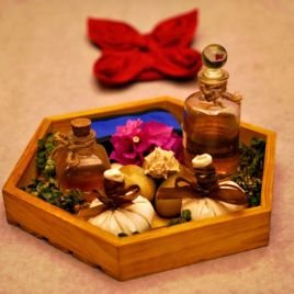 wellness retreats india