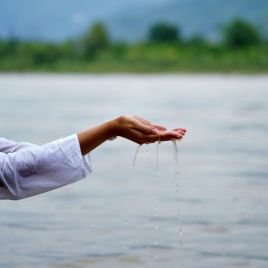 wellness retreats india