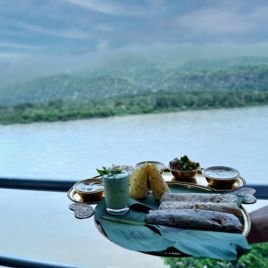 wellness retreats india