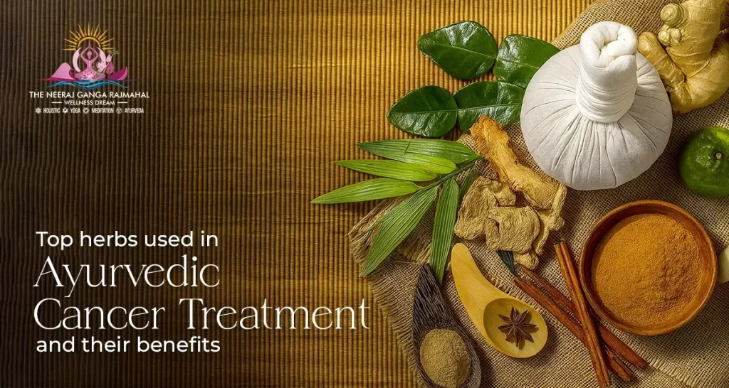 Top Herbs Used in Ayurvedic Cancer Treatment and Their Benefits
