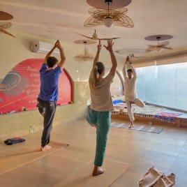 wellness retreats india